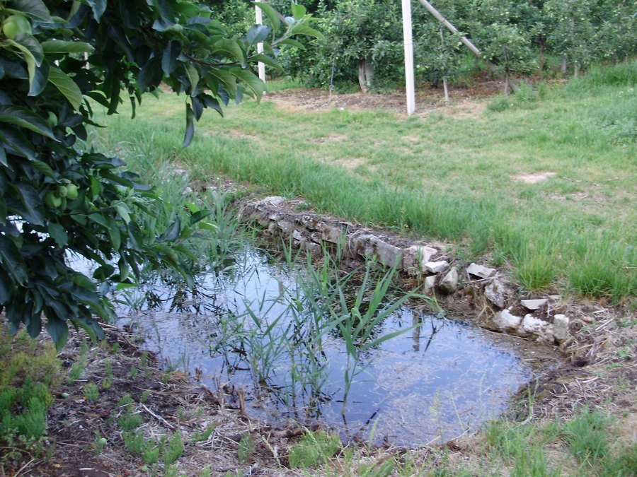 La Valle dell''Adige e l''ululone